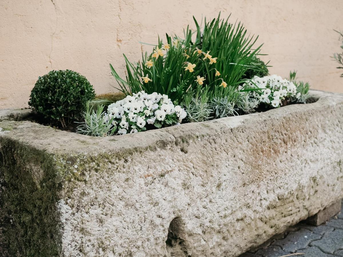 B&B Roudenhaff Echternach Eksteriør billede